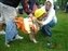 2009 DFF Dog Party 012.jpg